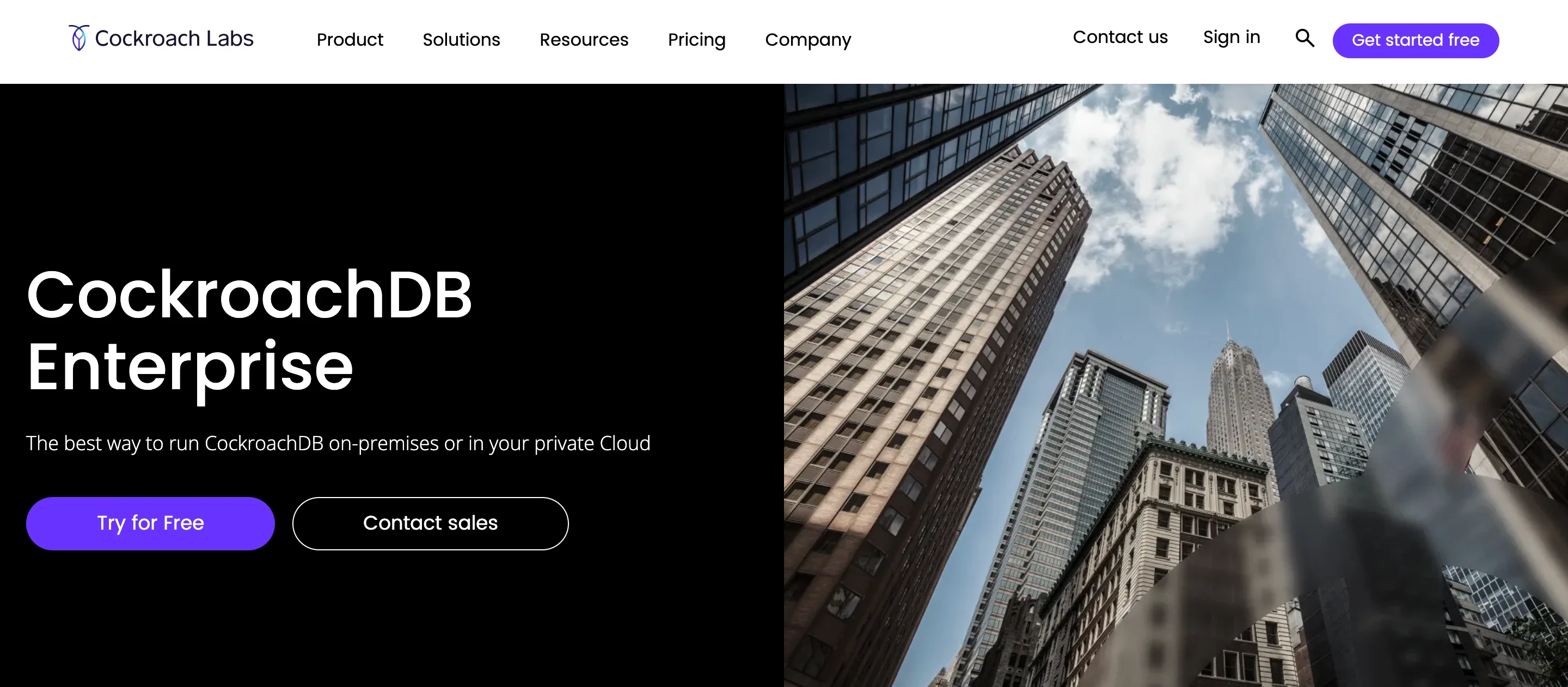 Cockroachlabs featured